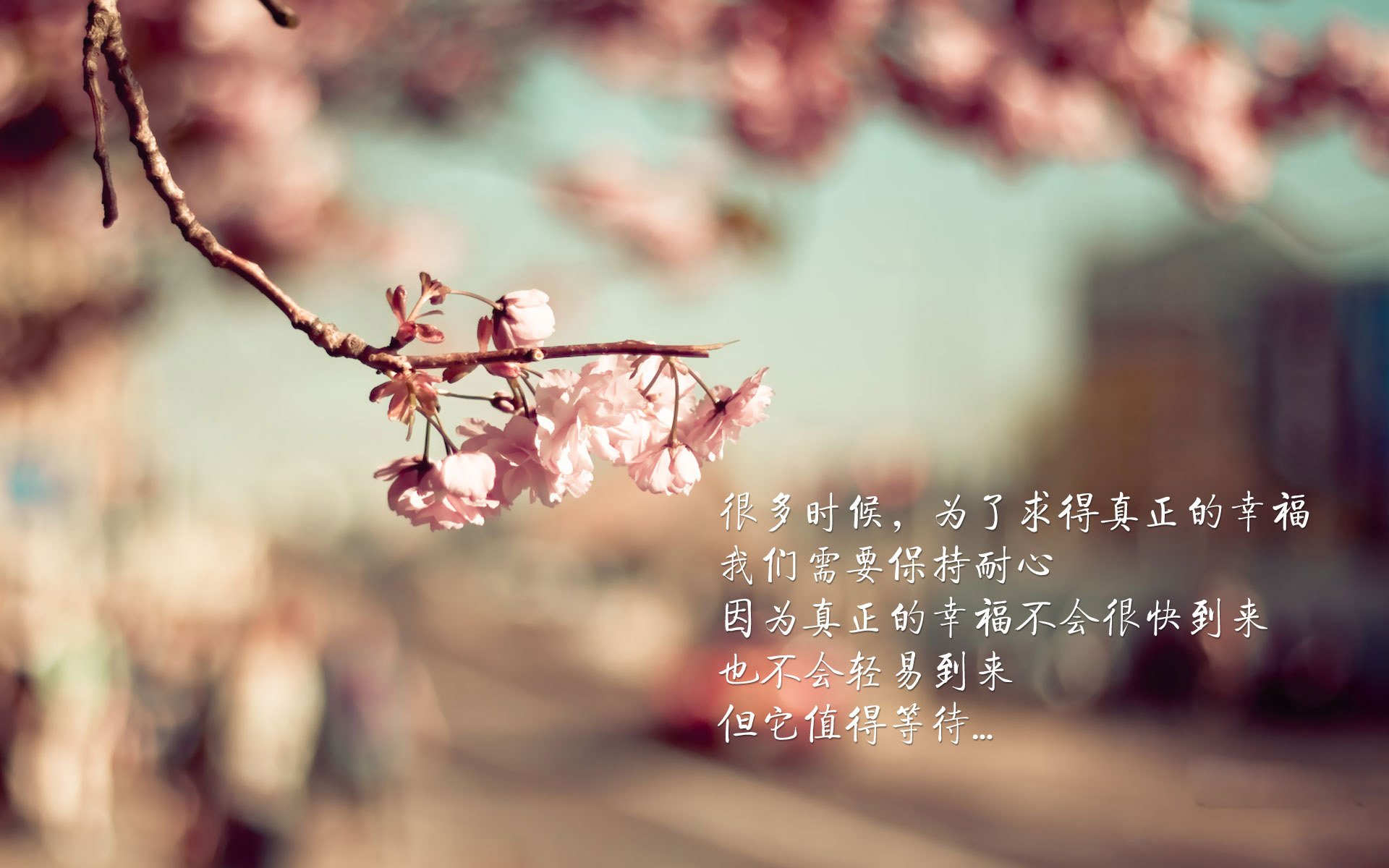 雄鹿强行终结步行者，小贾伦成为关键先生