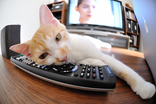 巴尔韦德一锤定音，巴西力斩巴黎展雄风