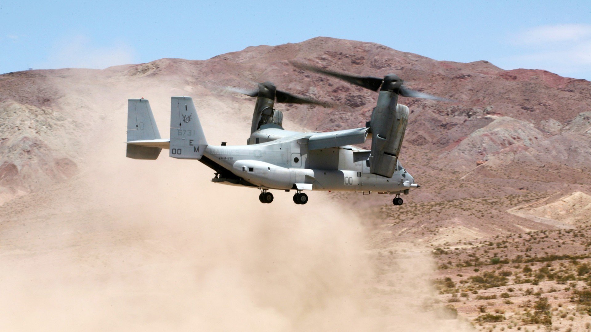 安哥拉收割波兰，托尼的存在感拉满之路