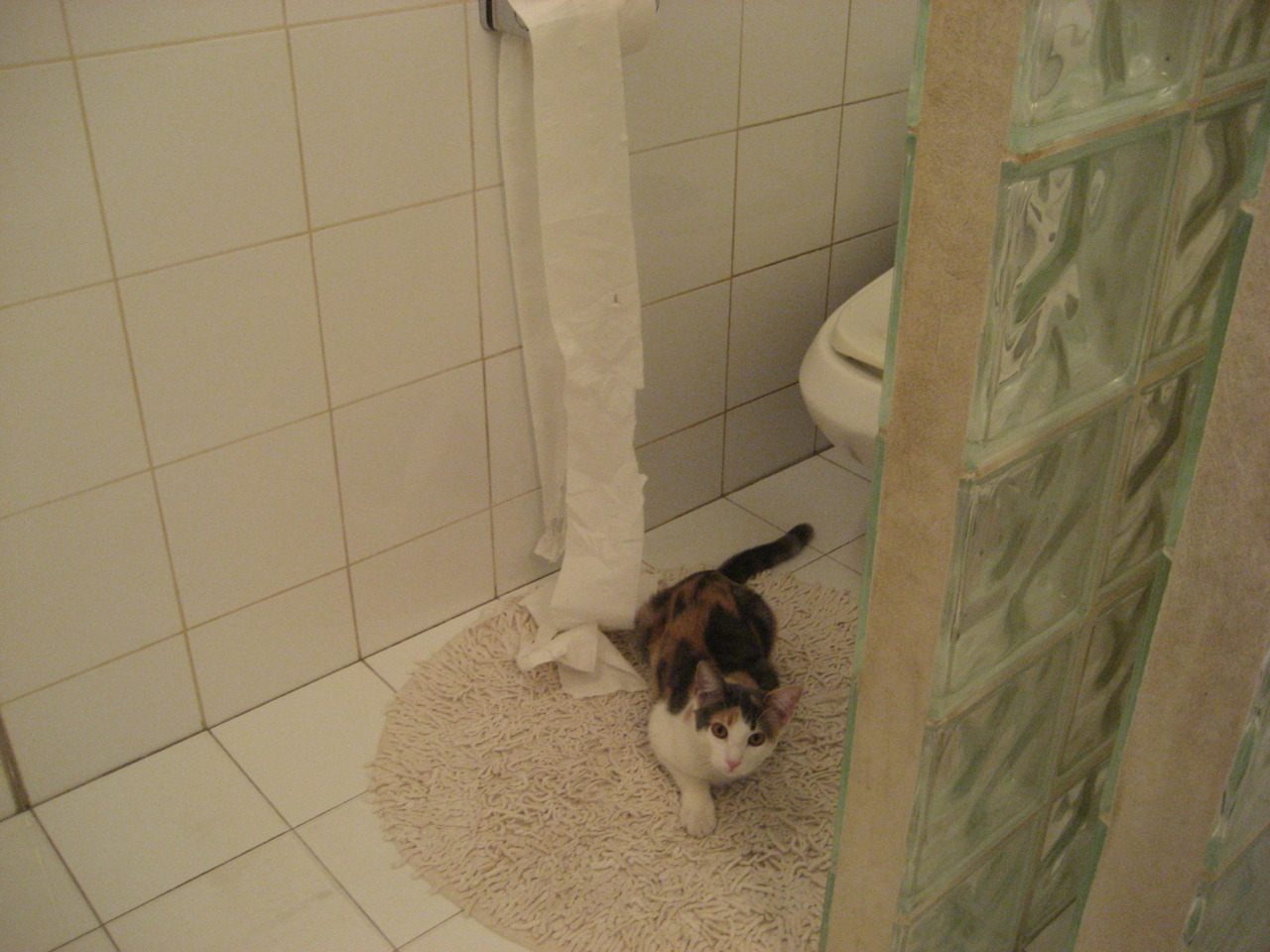 决胜之夜,凯尔特人巅峰对决76人,哈利伯顿成为关键先生