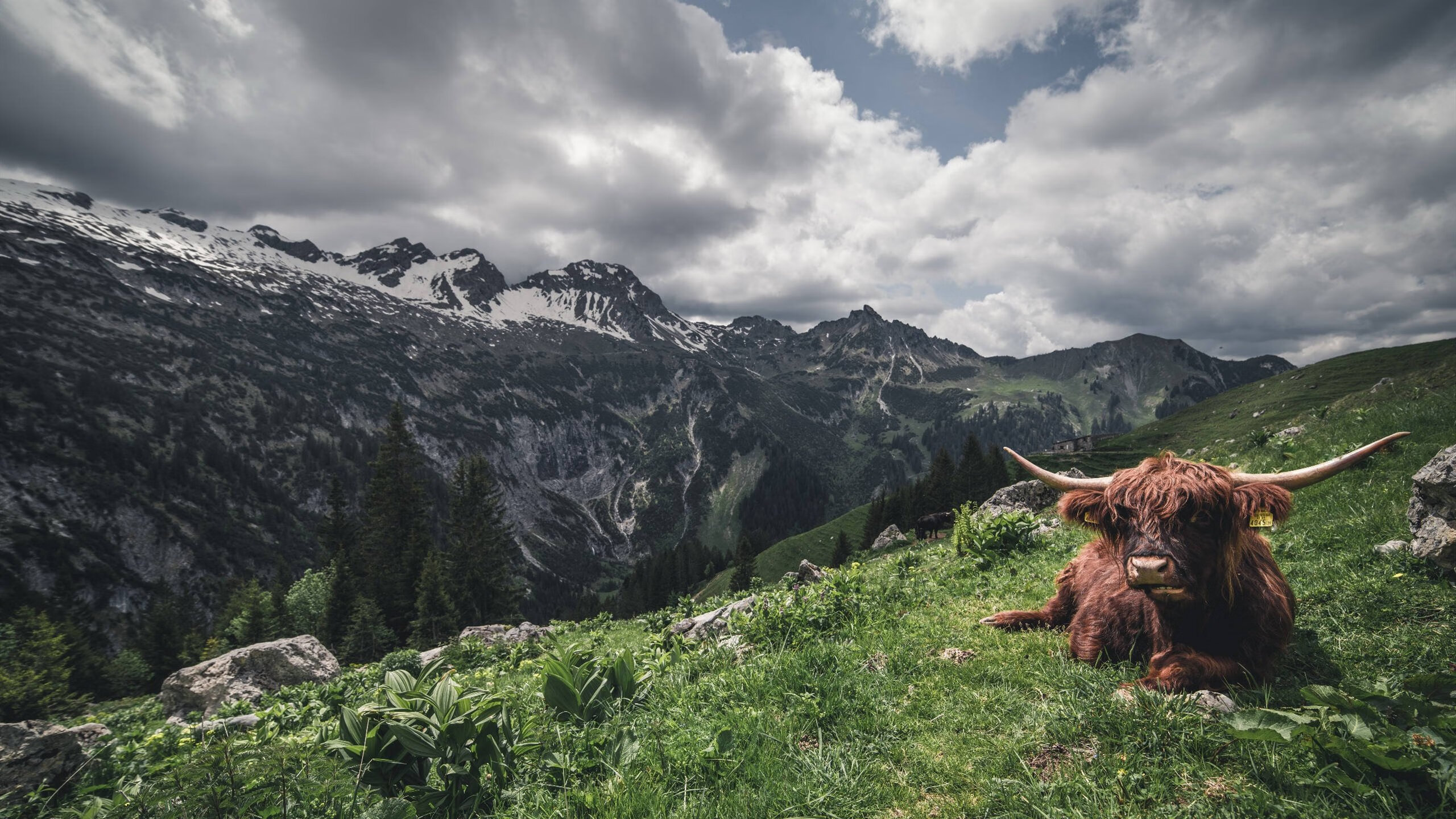 鏖战撒哈拉,法比尼奥一锤定音,摩洛哥险胜马里晋级在望