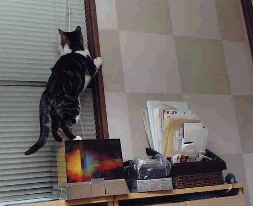 卡塞米罗爆发破局，切尔西封锁比利时显战术智慧