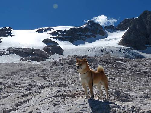詹姆斯末节统治加时赛,火箭巅峰对决险胜黄蜂