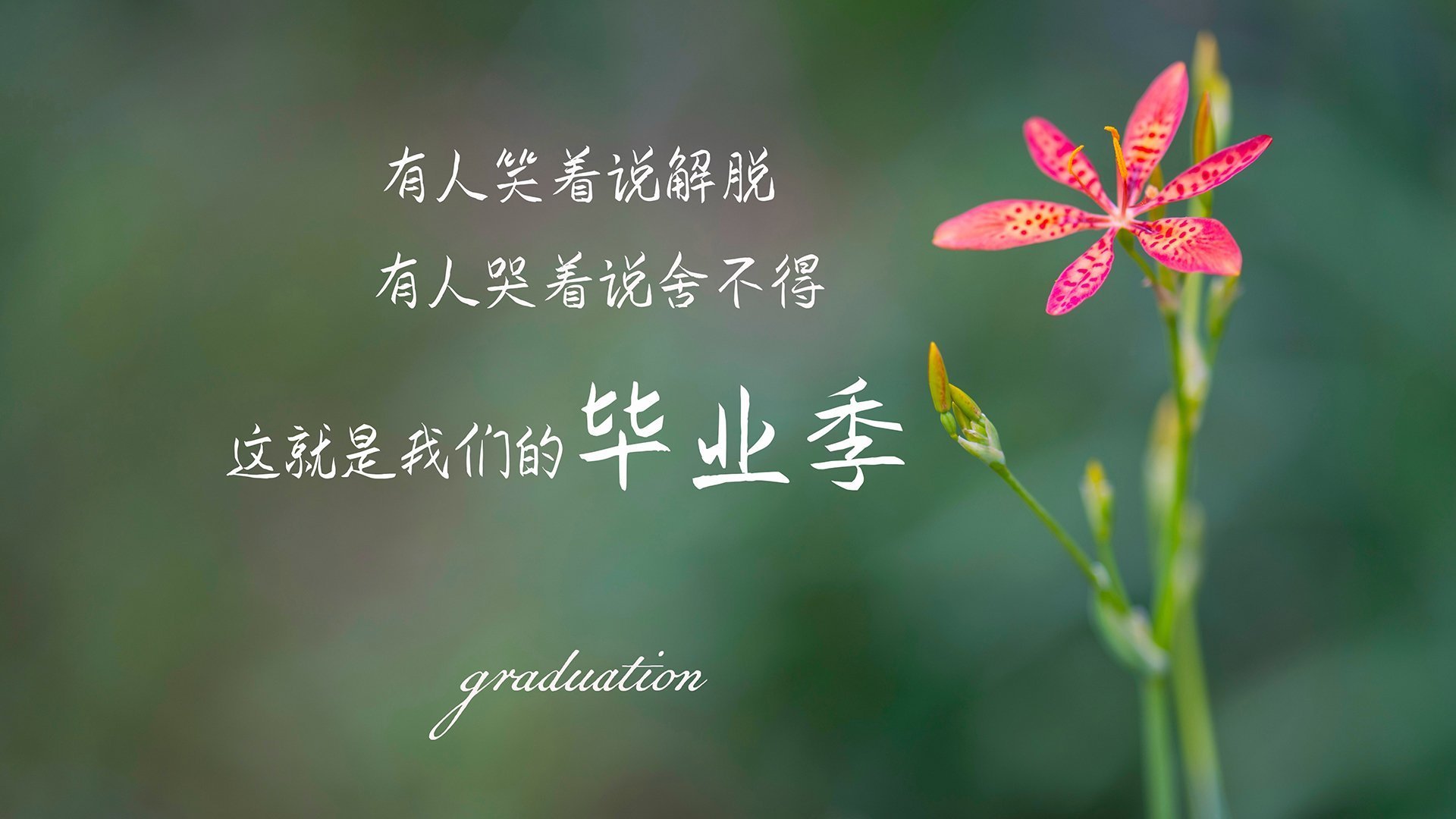 从童话绿茵到银色赛道,当迪巴拉用F1方向盘重写体育叙事