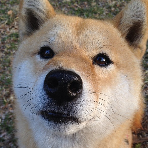 零点时刻，利拉德的救赎之夜