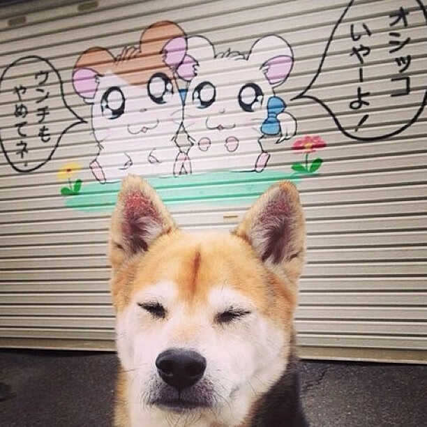 定义伟大，约基奇在总决赛之夜展现的另一种篮球哲学