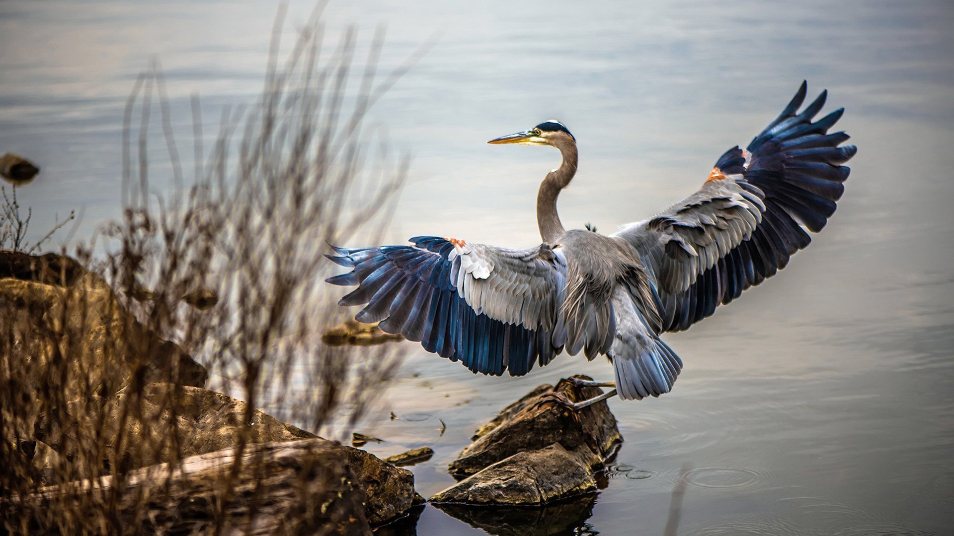 舞台越大越强，巴尔韦德在曼联对阵南非的比赛中闪耀