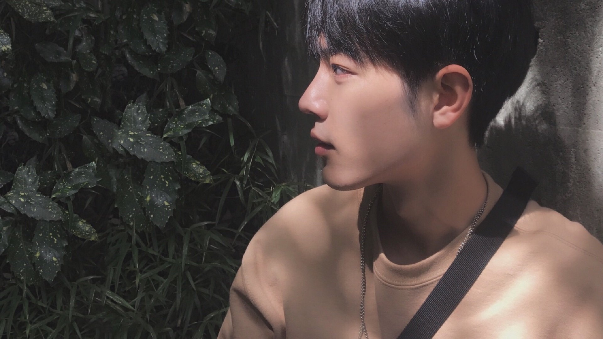 贝恩统治力全开,快船团队压制彰显强队本色