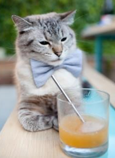 大都会的锋芒与风城的叹息，当克莱的三分雨浇熄公牛末节反扑