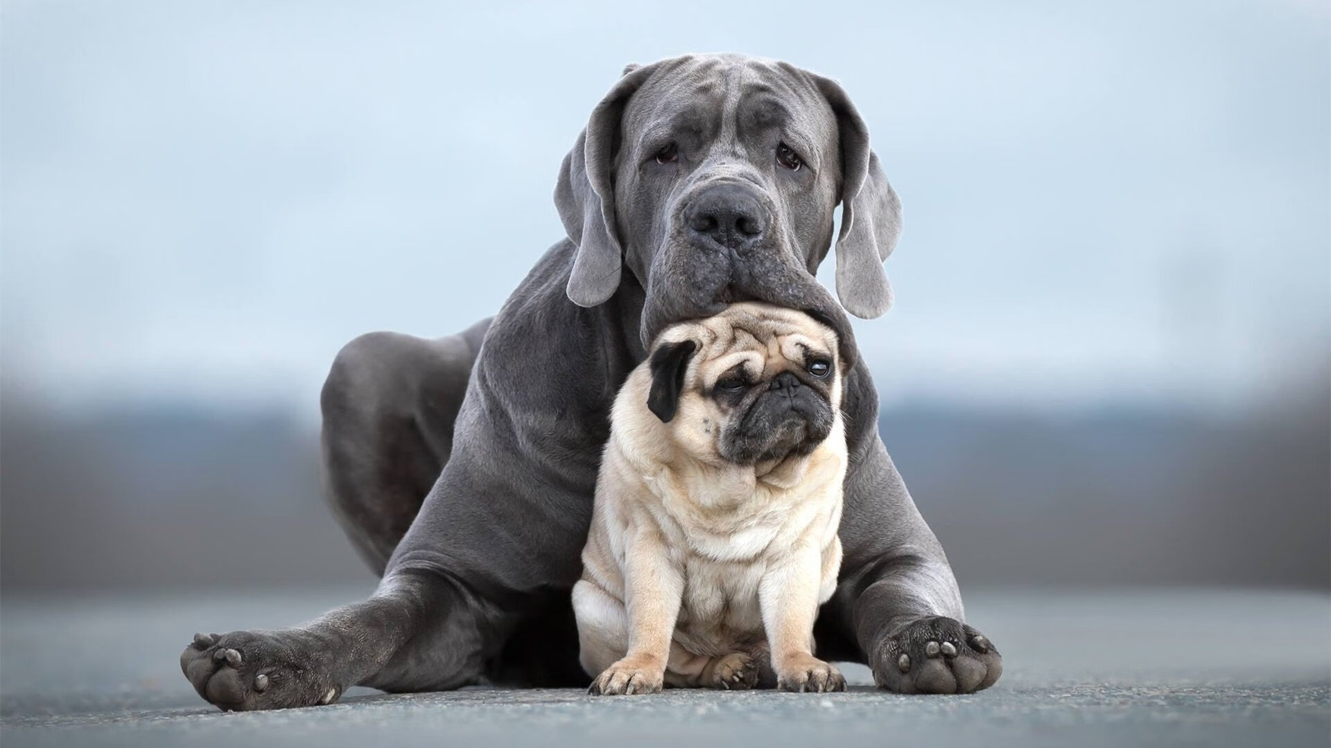 王冠更迭，当国王掀翻雄鹿，塔图姆式的领导力正在重塑联盟