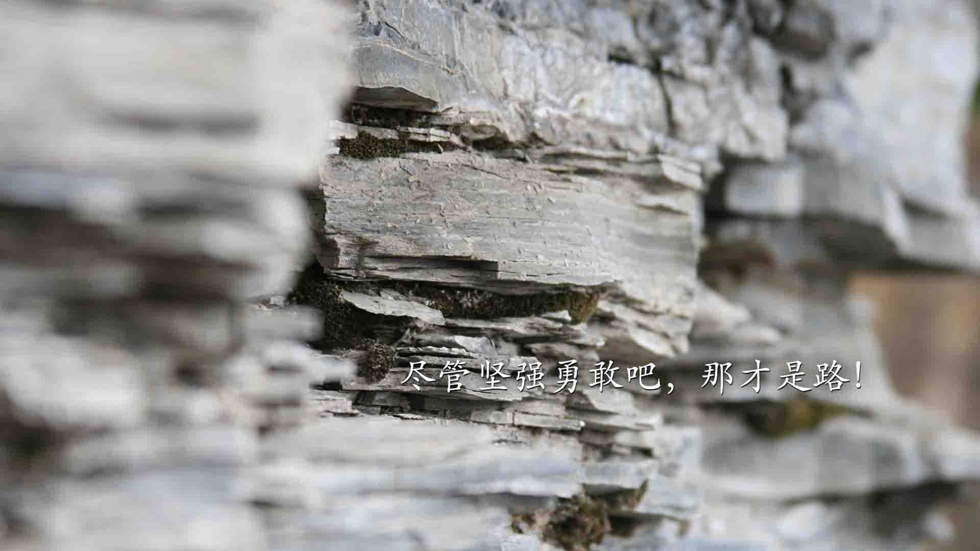 开云体育入口-跨越太平洋的篮球对决，篮网对阵辽宁，恩比德逆境中爆发