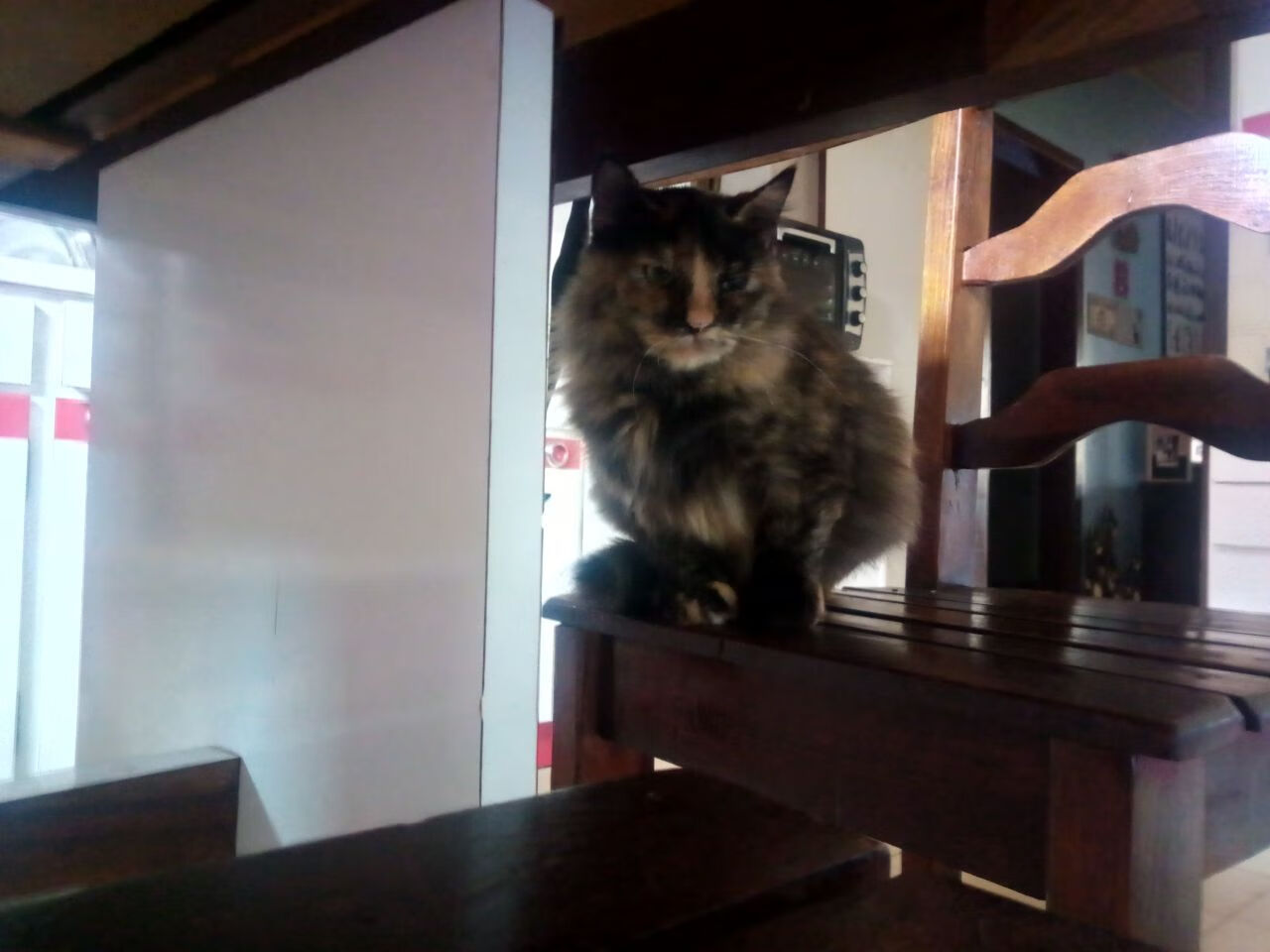 绝杀时刻与全面统治，丹麦险胜喀麦隆，莫德里奇攻防两端闪耀