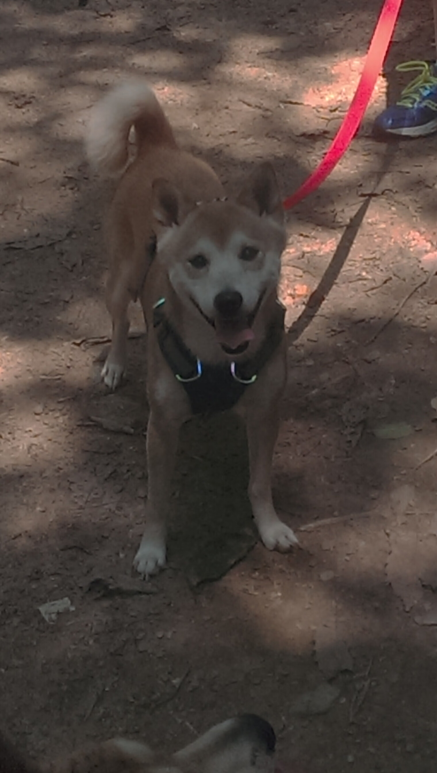 铁血热火力克76人，范弗利特死亡缠绕锁死马克西