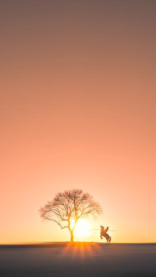 跨越联盟的星辰,文班亚马虚拟对决新疆队闪耀全场